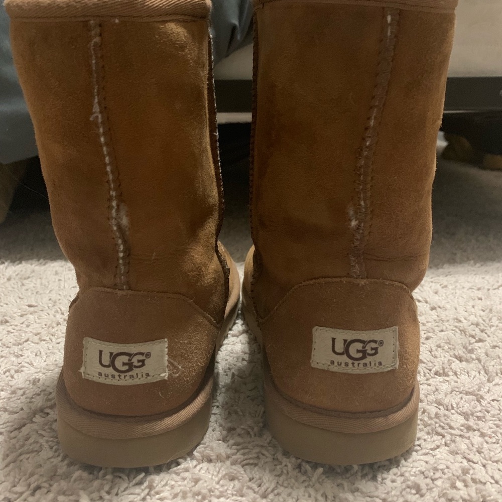 short brown uggs size 7 #uggs